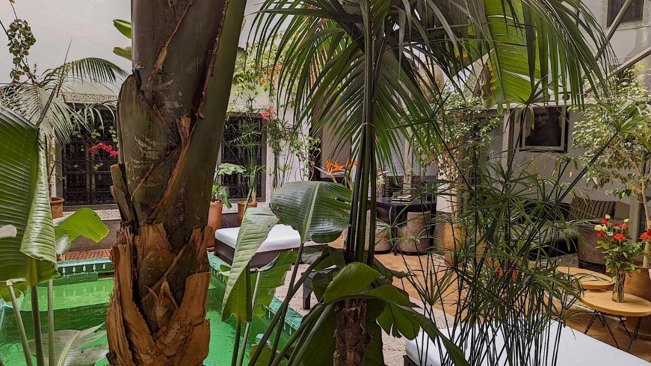 Riad Jardin Des Sens & Spa مراكش المظهر الخارجي الصورة